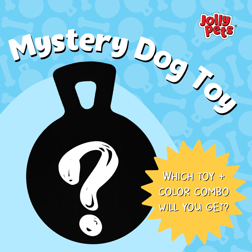 Mystery Toy