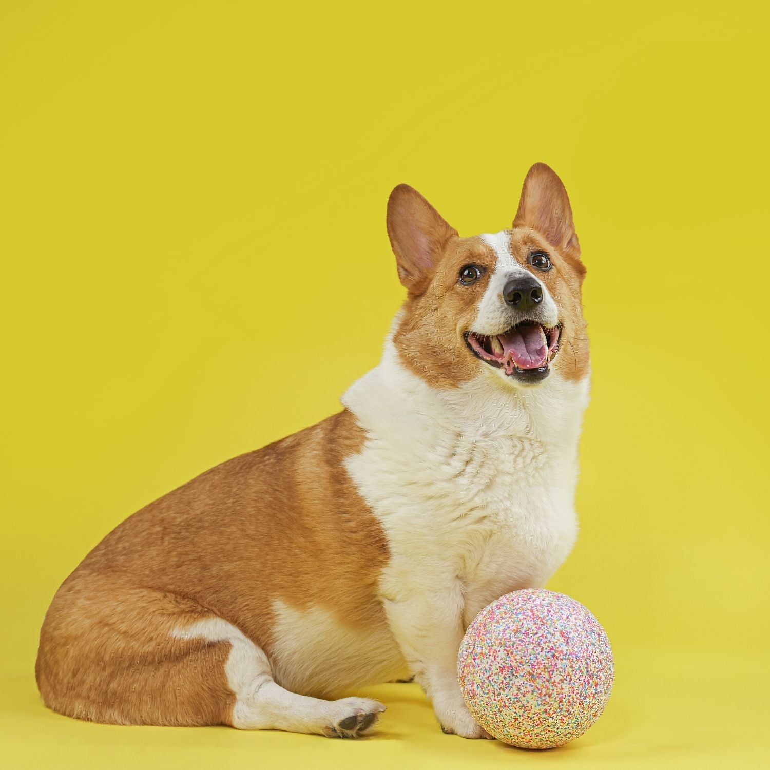 Jolly Bean Soccer Ball
