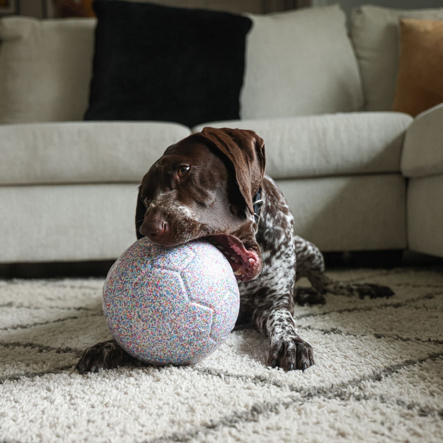 Jolly Bean Soccer Ball