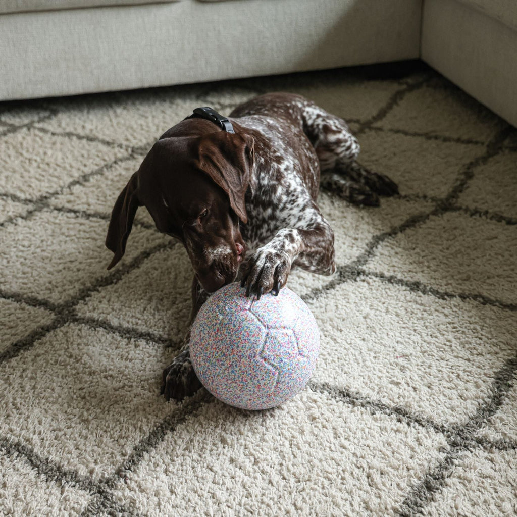 Jolly Bean Soccer Ball