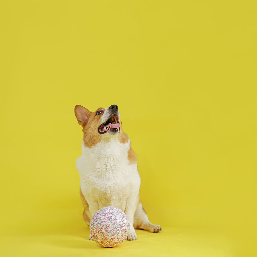 Jolly Bean Soccer Ball