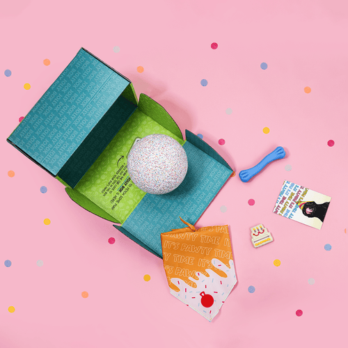 Jolly Bash Box