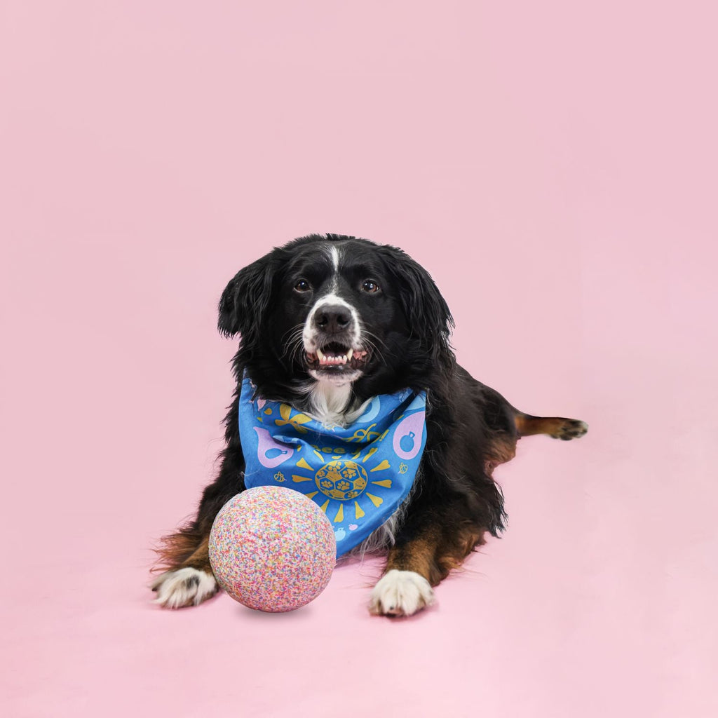 Jolly Bean Soccer Ball